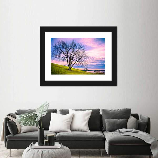 Sunset Behind Leafless Winter Tree Canvas Wall Art-1 Piece-Framed Print-20" x 16"-Tiaracle