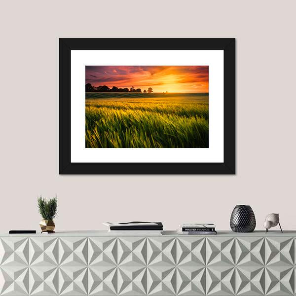 Sunset Over A Wheat Field Canvas Wall Art-1 Piece-Framed Print-20" x 16"-Tiaracle