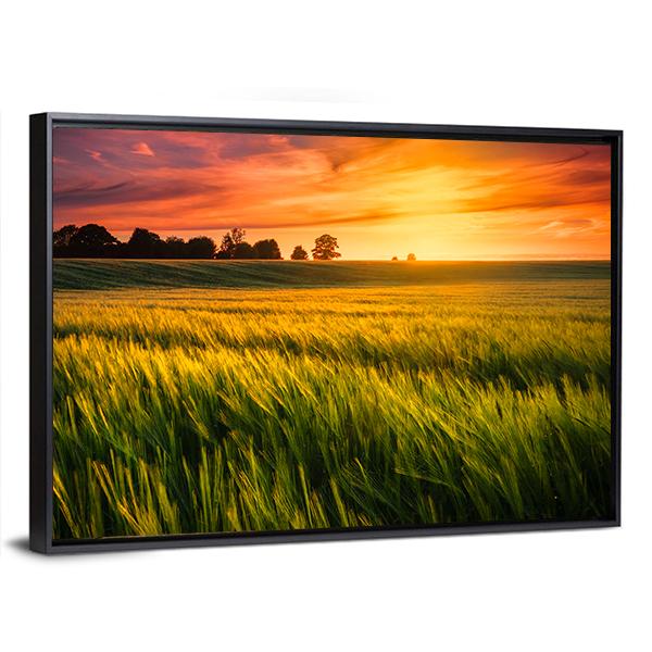 Sunset Over A Wheat Field Canvas Wall Art-3 Horizontal-Gallery Wrap-25" x 16"-Tiaracle