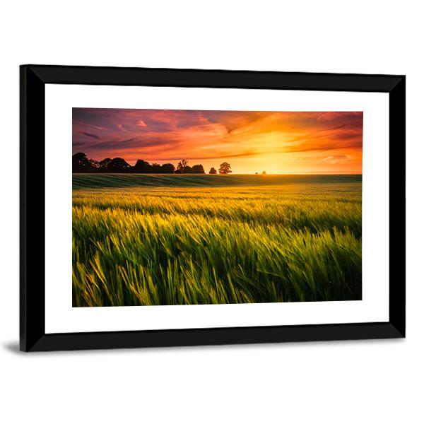 Sunset Over A Wheat Field Canvas Wall Art-3 Horizontal-Gallery Wrap-25" x 16"-Tiaracle