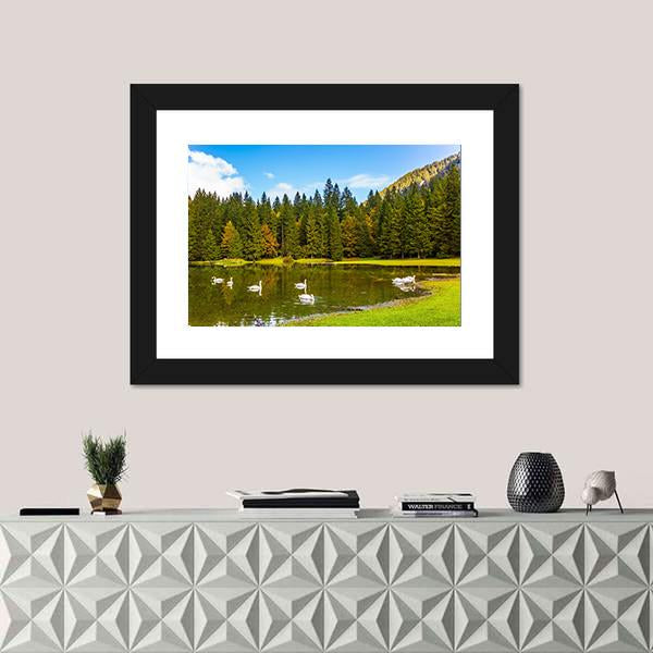 Swans In Lake In Northern Italy Canvas Wall Art-1 Piece-Framed Print-20" x 16"-Tiaracle