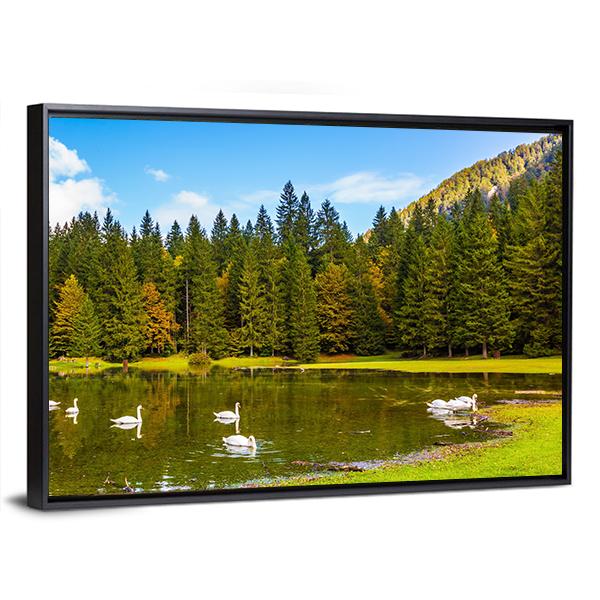 Swans In Lake In Northern Italy Canvas Wall Art-3 Horizontal-Gallery Wrap-25" x 16"-Tiaracle