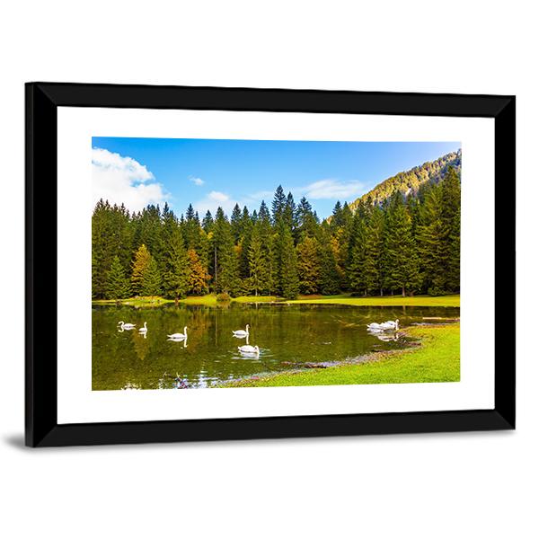 Swans In Lake In Northern Italy Canvas Wall Art-3 Horizontal-Gallery Wrap-25" x 16"-Tiaracle