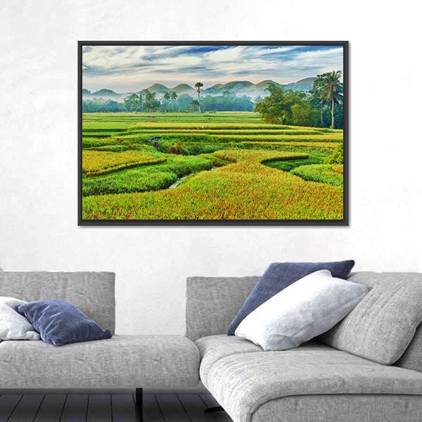 Paddy Rice Terraces in Morning Mist Canvas Wall Art in yellow and green, framed canvas, product view on a white background
