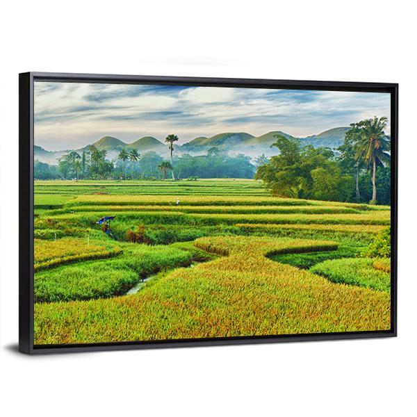 The Paddy Rice Field Canvas Wall Art-3 Horizontal-Gallery Wrap-25" x 16"-Tiaracle