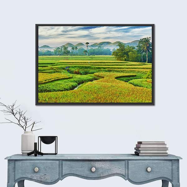 The Paddy Rice Field Canvas Wall Art-3 Horizontal-Gallery Wrap-25" x 16"-Tiaracle