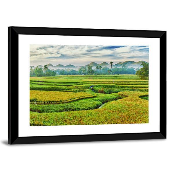 The Paddy Rice Field Canvas Wall Art-3 Horizontal-Gallery Wrap-25" x 16"-Tiaracle