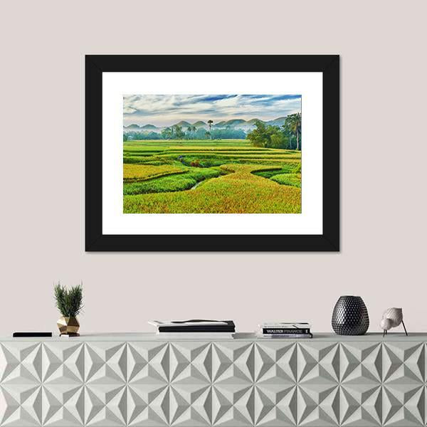 The Paddy Rice Field Canvas Wall Art-3 Horizontal-Gallery Wrap-25" x 16"-Tiaracle