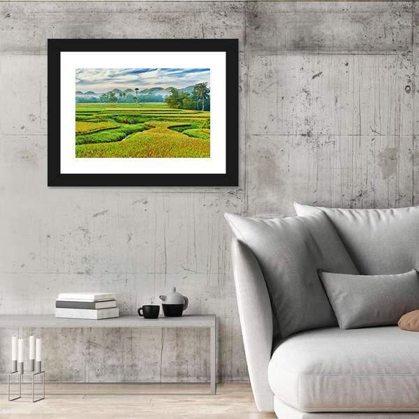 The Paddy Rice Field Canvas Wall Art-3 Horizontal-Gallery Wrap-25" x 16"-Tiaracle