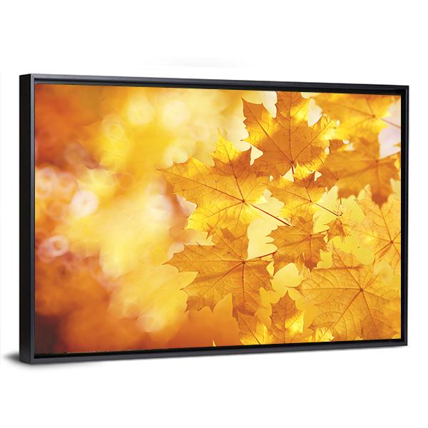Tree Branch With Autumn Leaves Of A Maple Canvas Wall Art-3 Horizontal-Gallery Wrap-25" x 16"-Tiaracle
