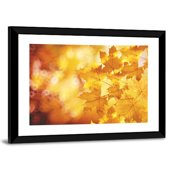 Tree Branch With Autumn Leaves Of A Maple Canvas Wall Art-3 Horizontal-Gallery Wrap-25" x 16"-Tiaracle
