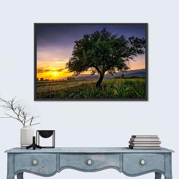 Tree By A Corn Field At Sunset Canvas Wall Art-1 Piece-Floating Frame-24" x 16"-Tiaracle