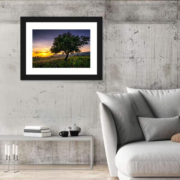 Tree By A Corn Field At Sunset Canvas Wall Art-3 Horizontal-Gallery Wrap-25" x 16"-Tiaracle