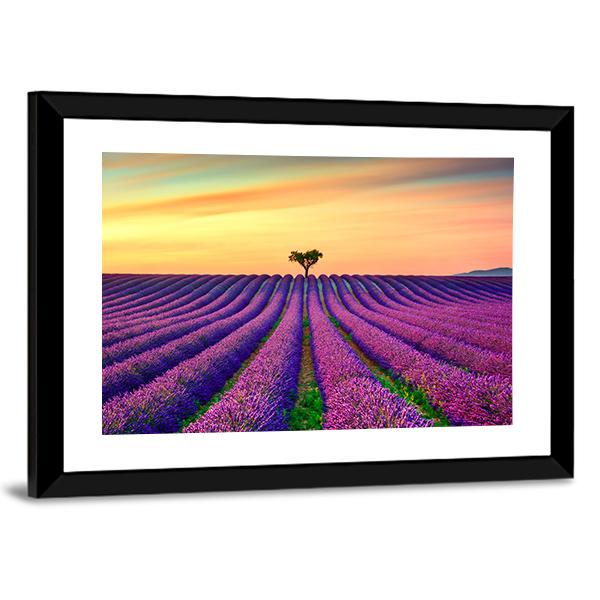 Tree In Lavender Field Canvas Wall Art-5 Horizontal-Gallery Wrap-22" x 12"-Tiaracle