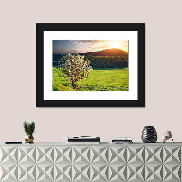 Tree In Mountain Meadow Canvas Wall Art-1 Piece-Framed Print-20" x 16"-Tiaracle