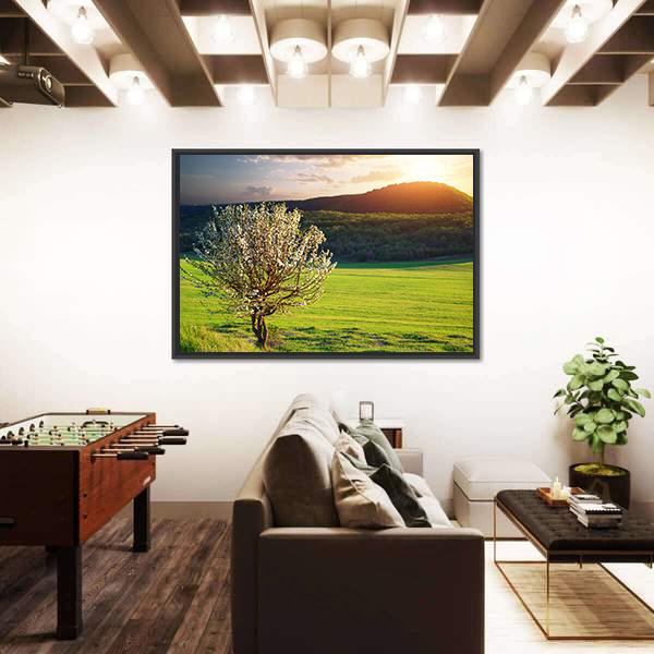 Tree In Mountain Meadow Canvas Wall Art-3 Horizontal-Gallery Wrap-25" x 16"-Tiaracle