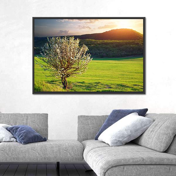 Tree In Mountain Meadow Canvas Wall Art-3 Horizontal-Gallery Wrap-25" x 16"-Tiaracle