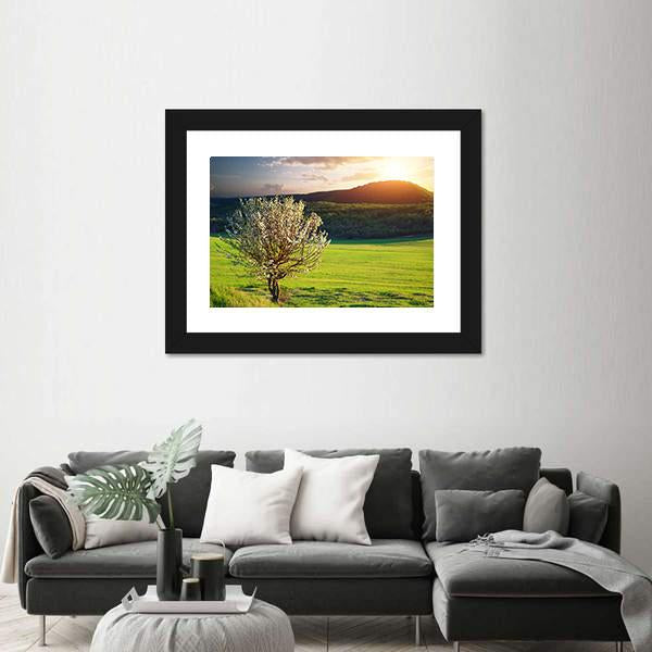 Tree In Mountain Meadow Canvas Wall Art-3 Horizontal-Gallery Wrap-25" x 16"-Tiaracle