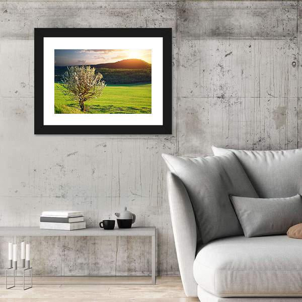 Tree In Mountain Meadow Canvas Wall Art-3 Horizontal-Gallery Wrap-25" x 16"-Tiaracle