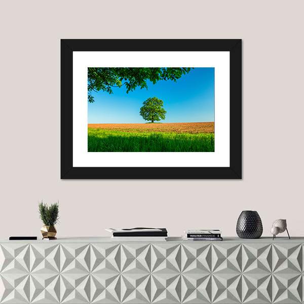 Tree In The Field And Blue Sky Canvas Wall Art-1 Piece-Framed Print-20" x 16"-Tiaracle