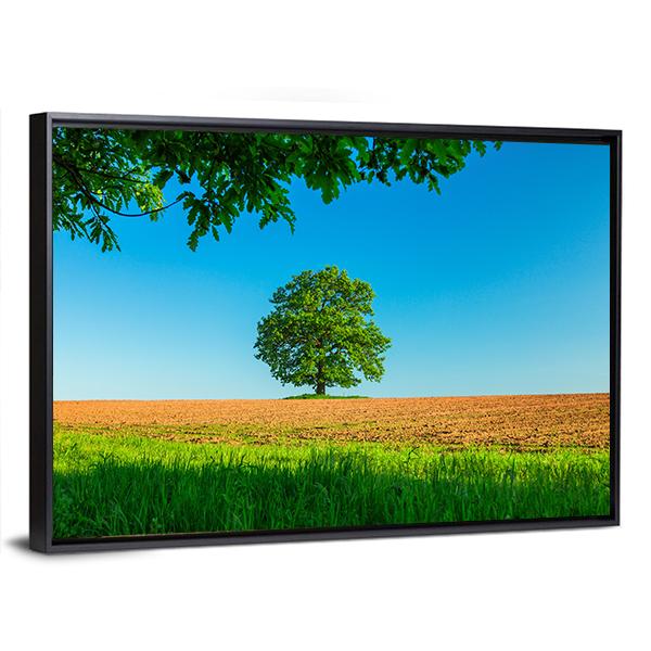 Tree In The Field And Blue Sky Canvas Wall Art-3 Horizontal-Gallery Wrap-25" x 16"-Tiaracle