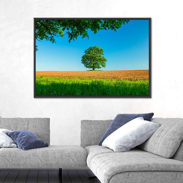 Tree In The Field And Blue Sky Canvas Wall Art-3 Horizontal-Gallery Wrap-25" x 16"-Tiaracle