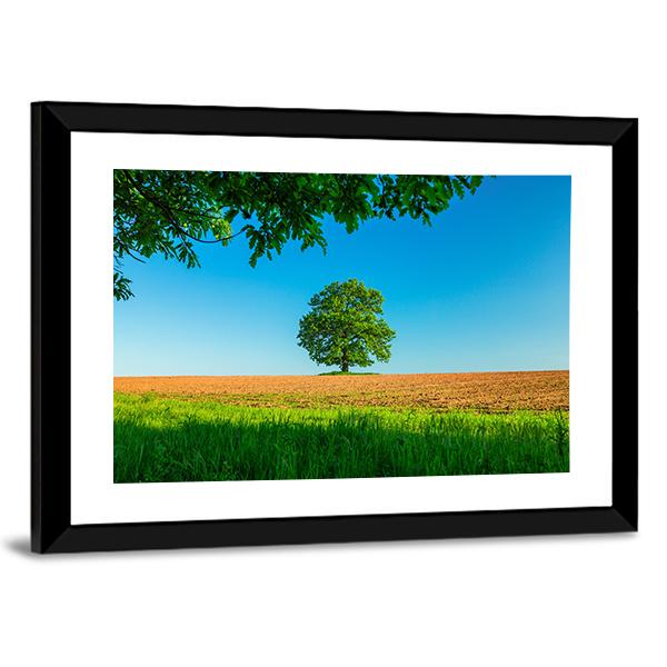 Tree In The Field And Blue Sky Canvas Wall Art-3 Horizontal-Gallery Wrap-25" x 16"-Tiaracle