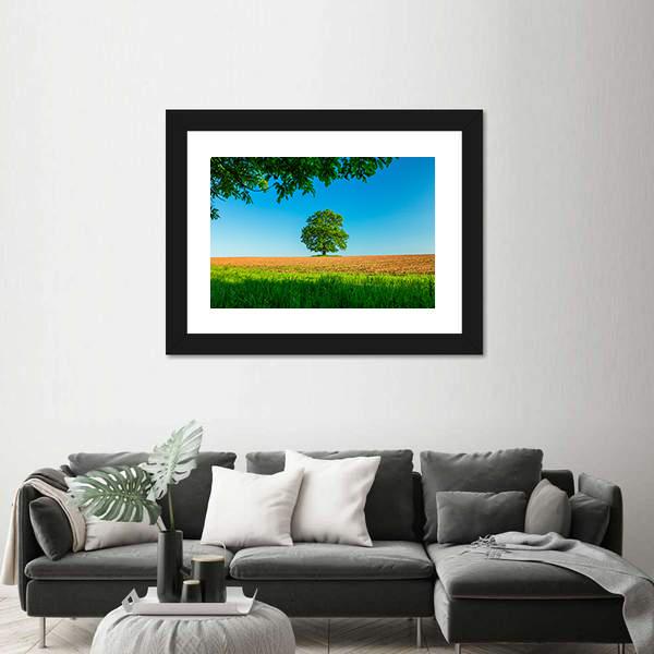 Tree In The Field And Blue Sky Canvas Wall Art-3 Horizontal-Gallery Wrap-25" x 16"-Tiaracle