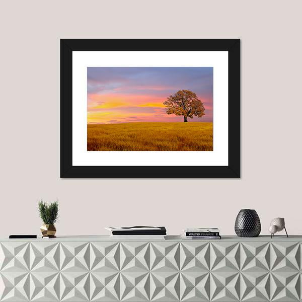 Tree In The Field With Clouds Canvas Wall Art-1 Piece-Framed Print-20" x 16"-Tiaracle