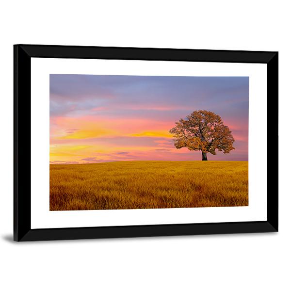 Tree In The Field With Clouds Canvas Wall Art-3 Horizontal-Gallery Wrap-25" x 16"-Tiaracle