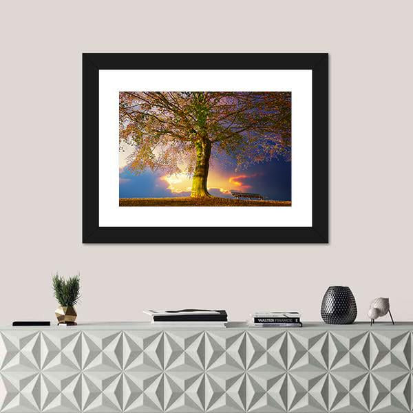 Tree In The Park Canvas Wall Art-1 Piece-Framed Print-20" x 16"-Tiaracle