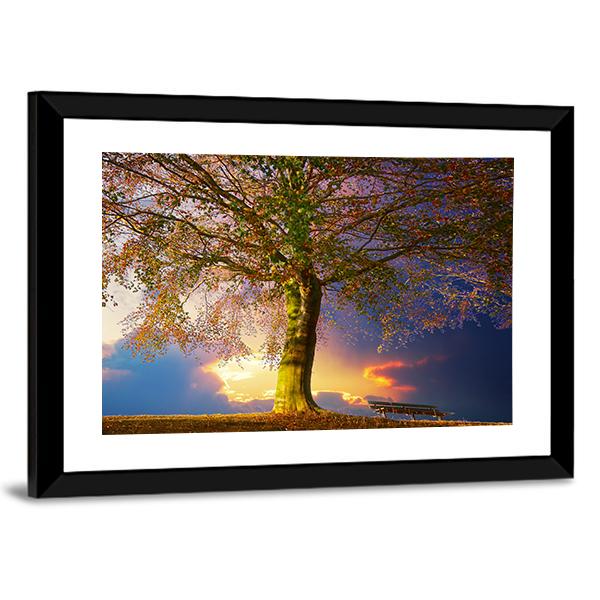 Tree In The Park Canvas Wall Art-5 Horizontal-Gallery Wrap-22" x 12"-Tiaracle