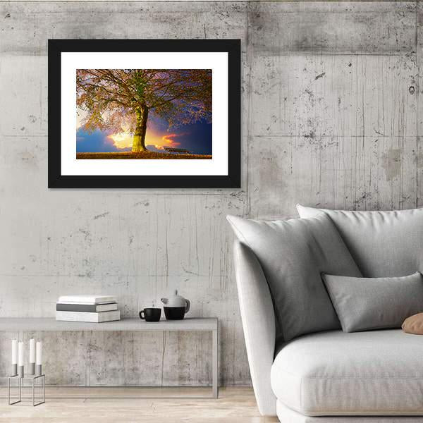 Tree In The Park Canvas Wall Art-5 Horizontal-Gallery Wrap-22" x 12"-Tiaracle