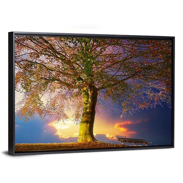 Tree In The Park Canvas Wall Art-5 Horizontal-Gallery Wrap-22" x 12"-Tiaracle