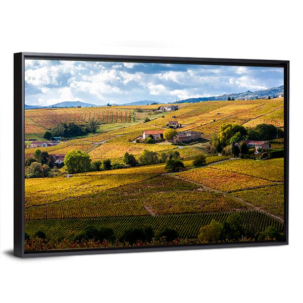 Vineyards Of Beaujolais France Canvas Wall Art-3 Horizontal-Gallery Wrap-25" x 16"-Tiaracle