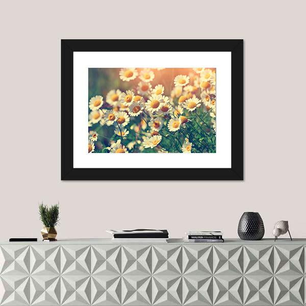 Vintage Wild Chamomile Flowers Canvas Wall Art-1 Piece-Framed Print-36" x 24"-Tiaracle