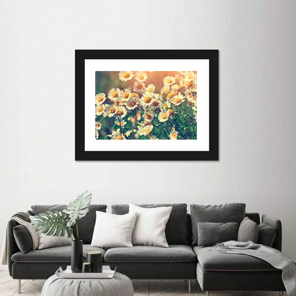 Vintage Wild Chamomile Flowers Canvas Wall Art-3 Horizontal-Gallery Wrap-25" x 16"-Tiaracle