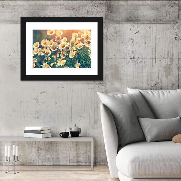 Vintage Wild Chamomile Flowers Canvas Wall Art-3 Horizontal-Gallery Wrap-25" x 16"-Tiaracle