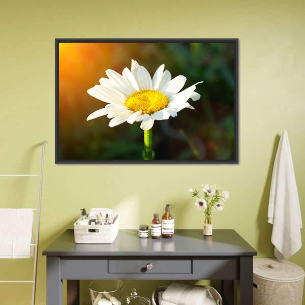 White Daisy Canvas Wall Art-1 Piece-Floating Frame-36" x 24"-Tiaracle