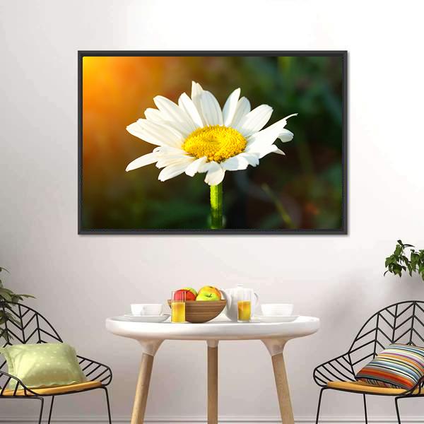 White Daisy Canvas Wall Art-5 Horizontal-Gallery Wrap-22" x 12"-Tiaracle
