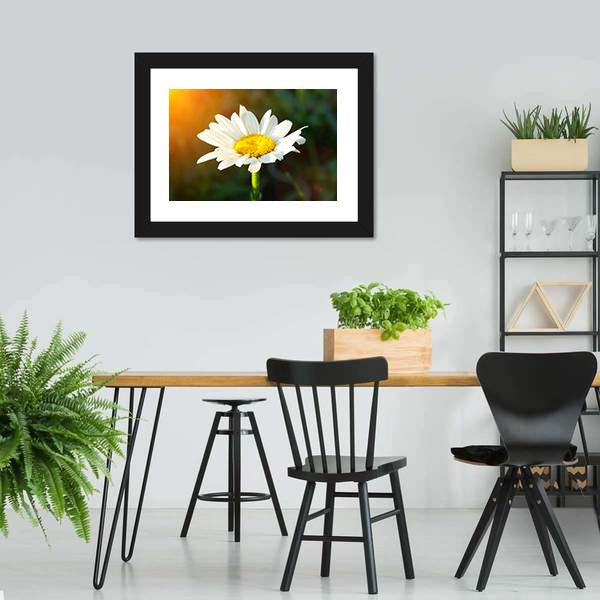 White Daisy Canvas Wall Art-5 Horizontal-Gallery Wrap-22" x 12"-Tiaracle