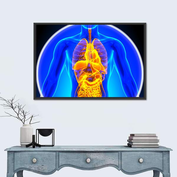 Anatomical X-ray of Human Organs Canvas Wall Art in orange, yellow and blue, framed canvas, product view on a white background