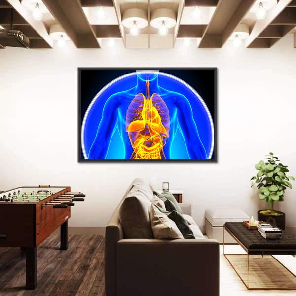 X-Ray Scan Of Organs Canvas Wall Art-5 Horizontal-Gallery Wrap-22" x 12"-Tiaracle