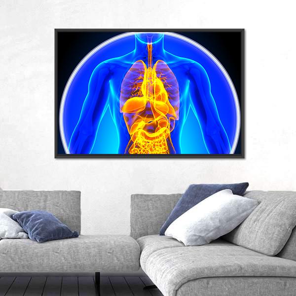 X-Ray Scan Of Organs Canvas Wall Art-3 Horizontal-Gallery Wrap-25" x 16"-Tiaracle