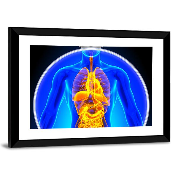 X-Ray Scan Of Organs Canvas Wall Art-5 Horizontal-Gallery Wrap-22" x 12"-Tiaracle