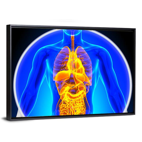 X-Ray Scan Of Organs Canvas Wall Art-5 Horizontal-Gallery Wrap-22" x 12"-Tiaracle
