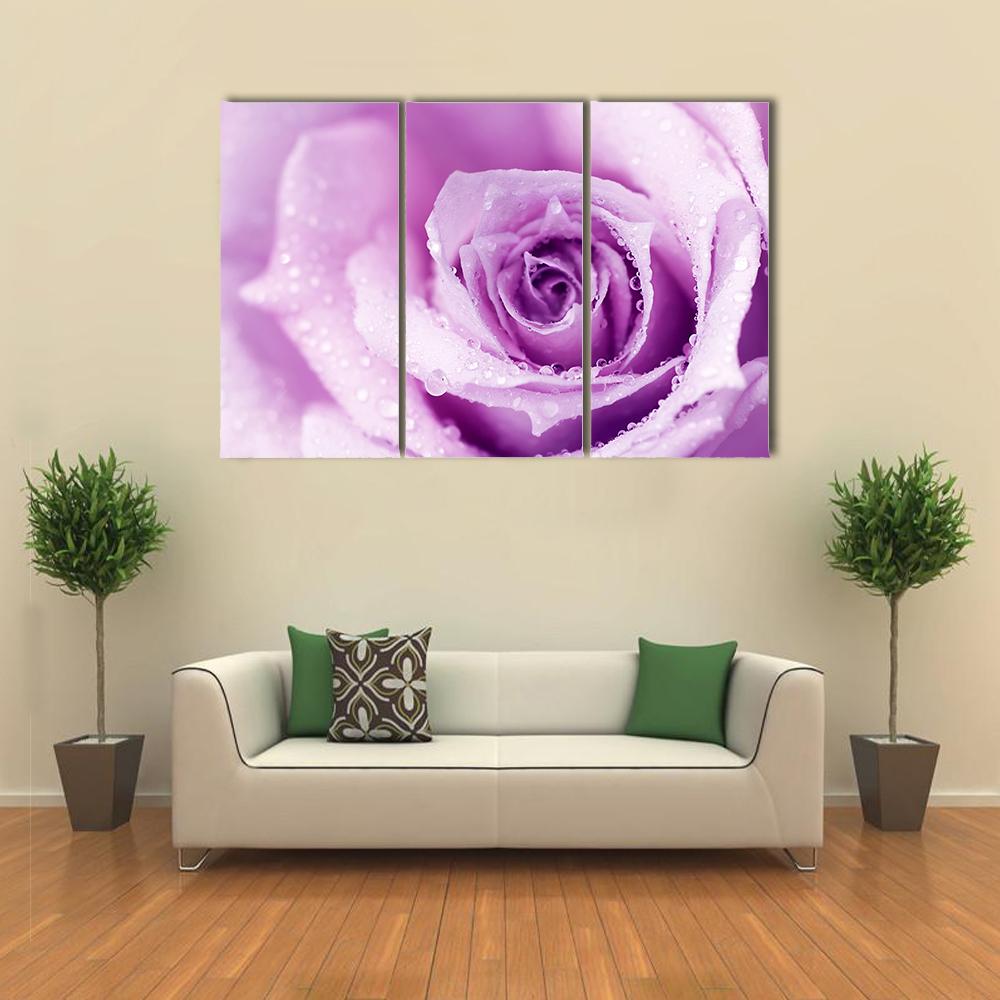 Abstract Purple Wet Rose Canvas Wall Art-3 Horizontal-Gallery Wrap-25" x 16"-Tiaracle