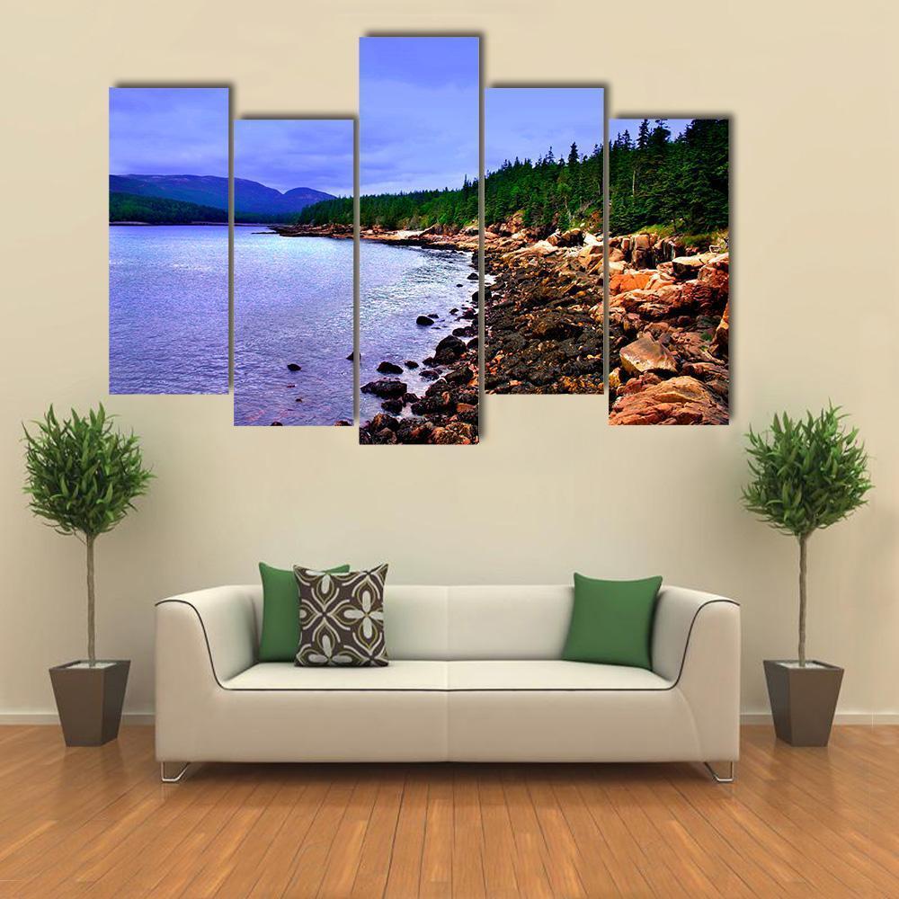 Acadia National Park Canvas Wall Art-5 Pop-Gallery Wrap-47" x 32"-Tiaracle