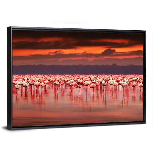 African Flamingos In Lake Canvas Wall Art-3 Horizontal-Gallery Wrap-25" x 16"-Tiaracle