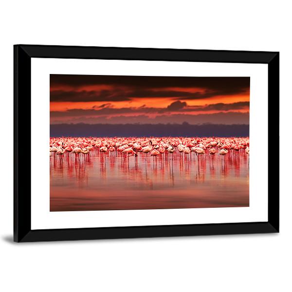 African Flamingos In Lake Canvas Wall Art-3 Horizontal-Gallery Wrap-25" x 16"-Tiaracle